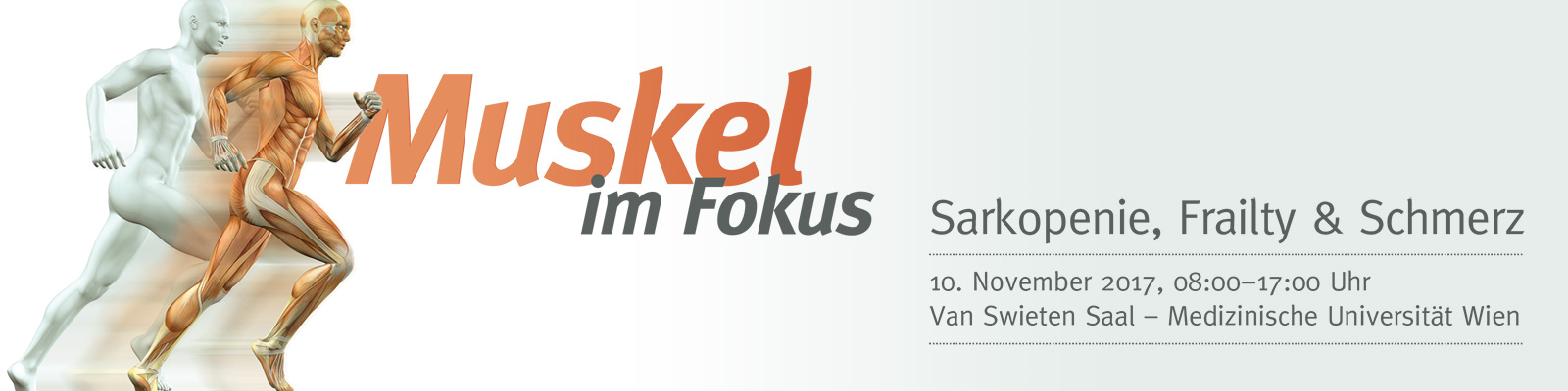 Muskel im Fokus 2017